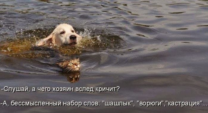    - 8  2022  13:39