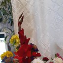 ���� ��������, �����, 62 ���� - ��������� 8 ������ 2022 � ������ �Avataria�