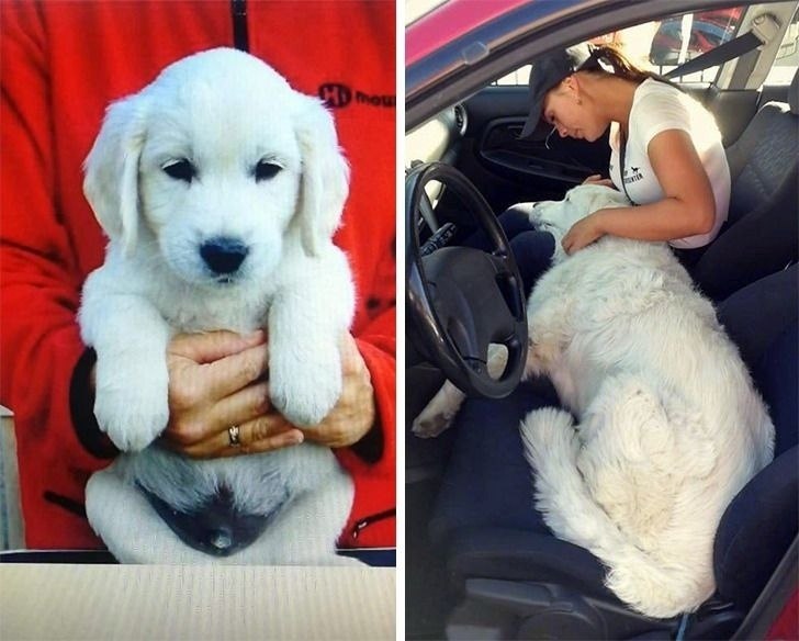 ��� ���������� �������� � 9 ������� � � 9 ���. ���������� ������� ������ �� ������ ��� ������, ��� ...