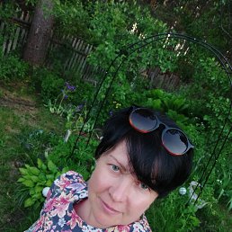 ���� ����, ���������, 52 ���� - ��������� 29 ������� 2022