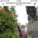 ���� Amin, ������ - ��������� 7 ������ 2023