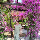 ���� ����, ���������, 52 ���� - ��������� 26 ���� 2022 � ������ ���� ����������