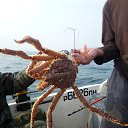 ���� ������, ��������, 46 ��� - ��������� 4 ������� 2022 � ������ ���� ����������