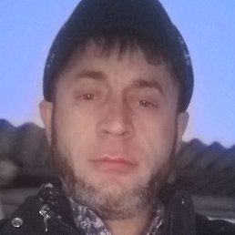 ������, ��������, 44 ����