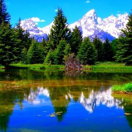 ���� ����, ���������, 20 ��� - ��������� 20 ������� 2023