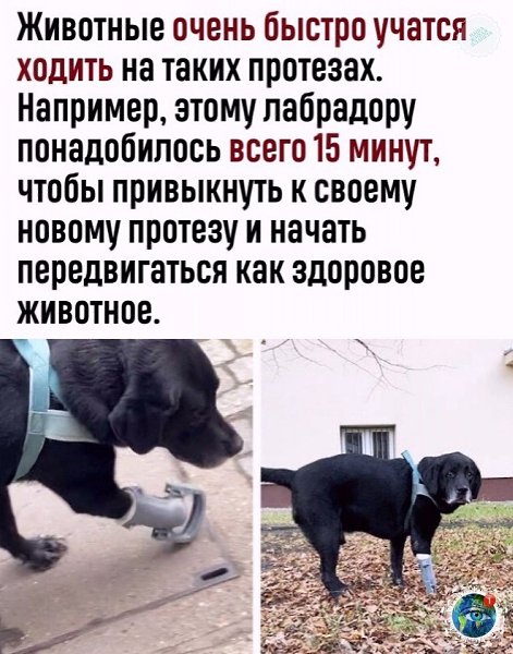  a opo o.gratplant - 3