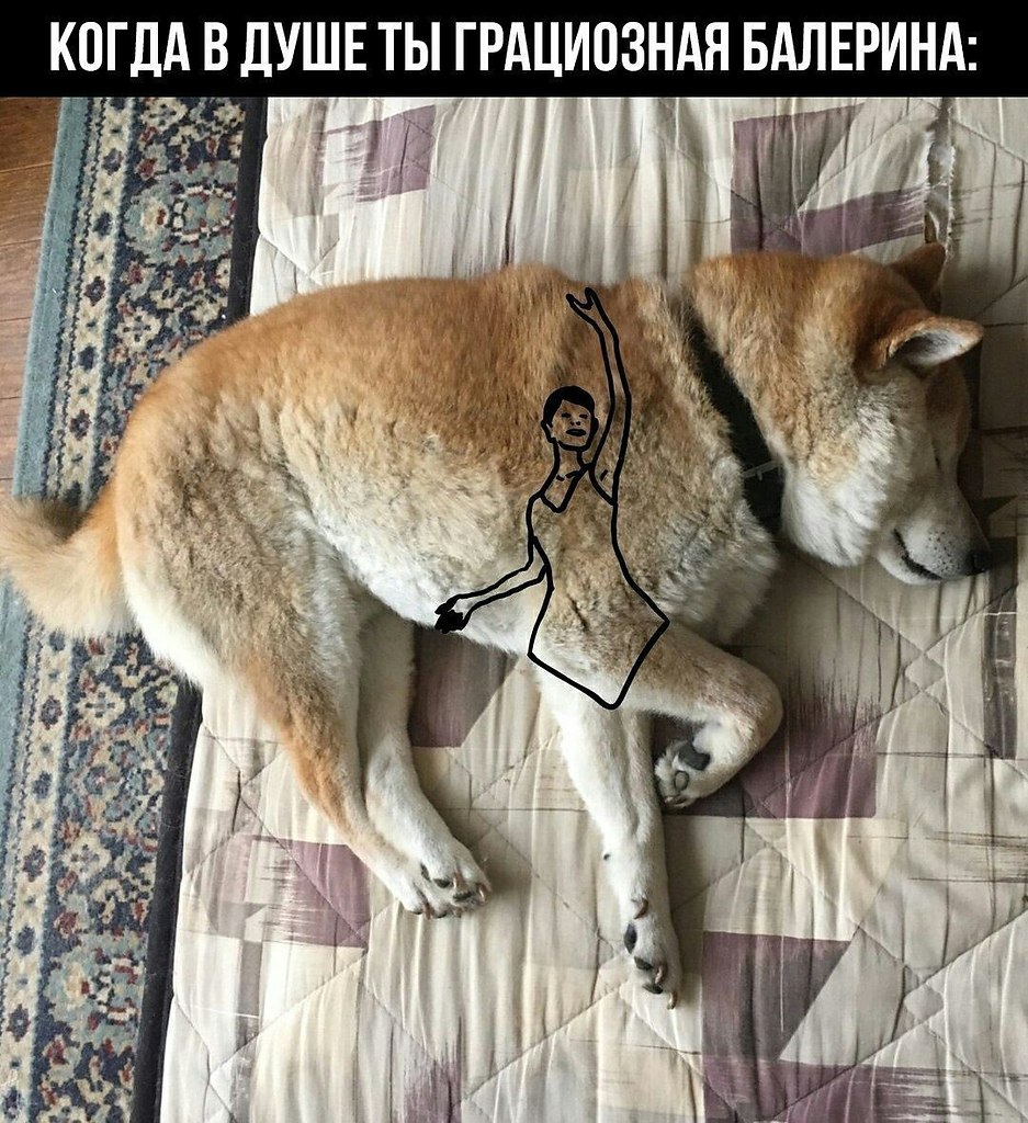    - 11  2023  04:21