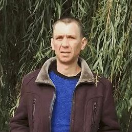 ���������, ��������, 43 ����