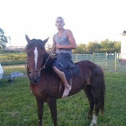 ���� �����, ������, 38 ��� - ��������� 15 ������� 2023