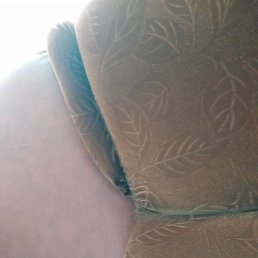 ����, ����������, 22 ����