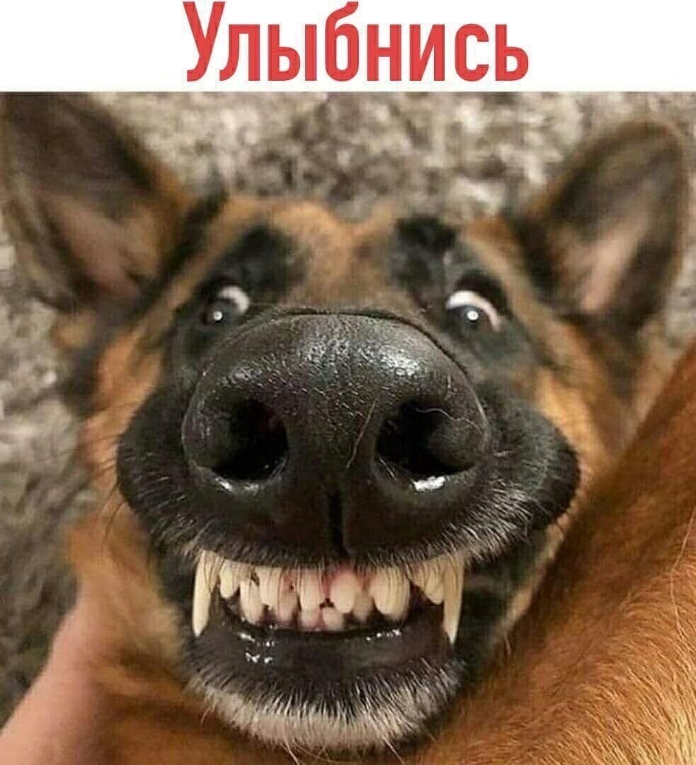 ***Victoria Viktorovna*** - 20  2022  01:54