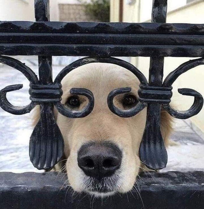 � �������� ���� ������� ������� � ������� � ��������� � ������������ ����, ��� ��� �� ������ ����� ...