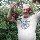 ���� �������, �����������, 66 ��� - ��������� 10 �������� 2022 � ������ ���� ����������