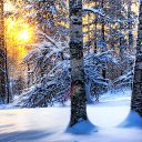 ���� ����, ���������, 32 ���� - ��������� 14 ������� 2022 � ������ ���� ����������