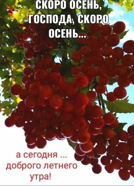 ���� ������� - 4 �������� 2022 � 21:21