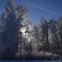 ���� �������, �������, 48 ��� - ��������� 20 ����� 2022 � ������ ���� ����������