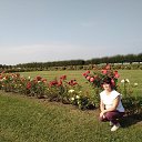 ���� ������, ����� - ��������� 28 ������� 2022 � ������ ���� ����������