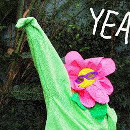 �����, ���������, 56 ���