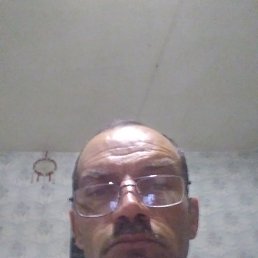 , 55, 