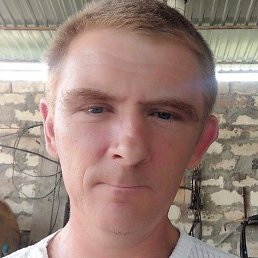 ������, ������, 51 ���