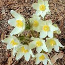 ���� �������, ����������� - ��������� 18 �������� 2022 � ������ ���� ����������