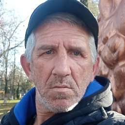 ����, �������, 55 ���