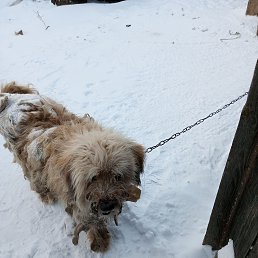 ���� ������, �������, 42 ���� - ��������� 23 ������� 2022