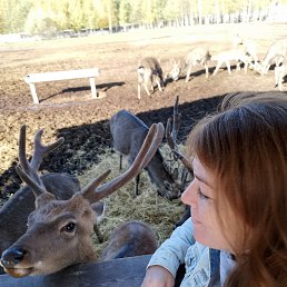 ���� ���, ������, 43 ���� - ��������� 20 ������� 2022