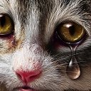 ���� ������, �������, 53 ���� - ��������� 26 ������ 2022 � ������ ���� ����������