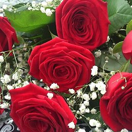 Elena, ��������, 44 ����