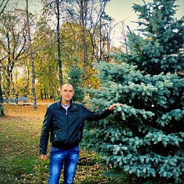 ���� ���������, ������, 44 ���� - ��������� 3 ������� 2022