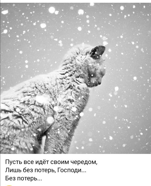 ***Victoria Viktorovna*** - 26  2022  04:51
