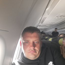 ���� �����, ���������, 44 ���� - ��������� 31 ��� 2022