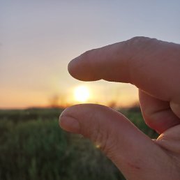 ����, ������, 50 ���