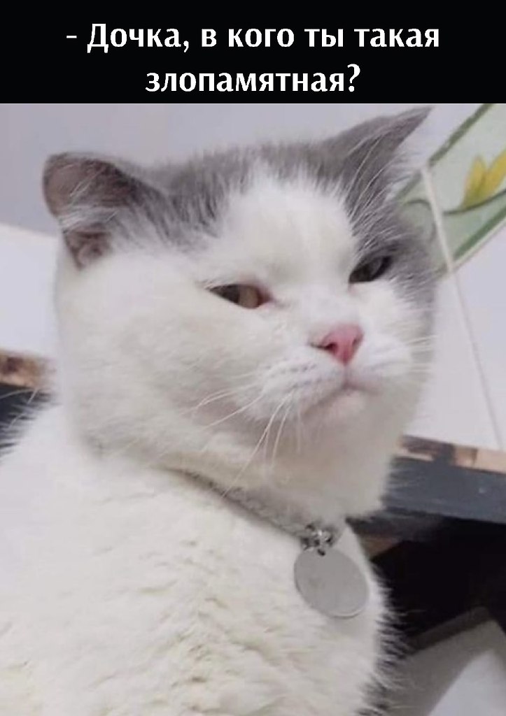 ��� ���� � ����� �� �� - 25 ������ 2022 � 13:30