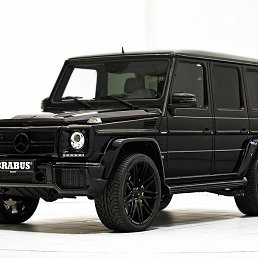 �������, ������, 23 ����