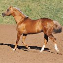 ���� ��������, ���������, 44 ���� - ��������� 6 ������� 2022 � ������ ���� ����������