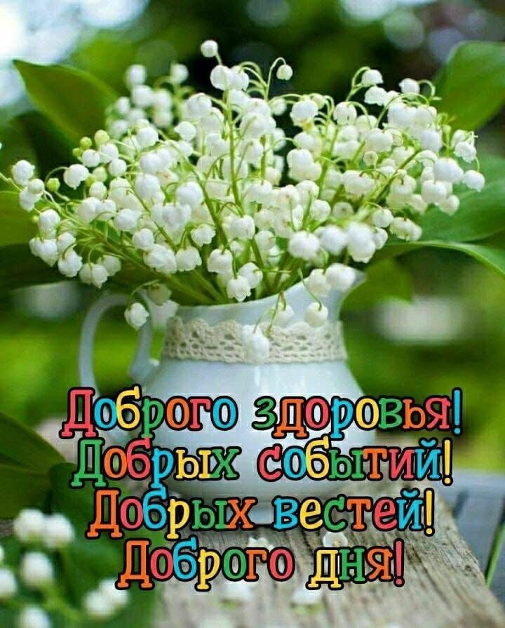   ,    . - 26  2022  11:58