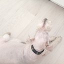 ���� ������, �����, 53 ���� - ��������� 29 ���� 2022 � ������ �������