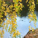 ���� �������, ���������, 44 ���� - ��������� 3 ������ 2022 � ������ ������ ��������