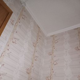 ����, ������, 56 ���