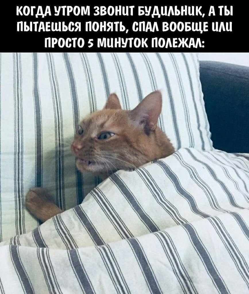    - 11  2023  06:33