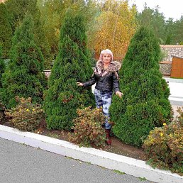 �����, ������, 53 ����