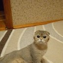 ���� �����, �������, 60 ��� - ��������� 15 ������ 2022 � ������ ���� ����������