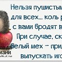 ���� Lucky Elite, ��������, 66 ��� - ��������� 4 ������ 2022 � ������ ������ ��������