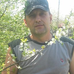 ������, ������, 56 ���