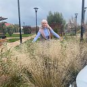 ���� �����, �������, 66 ��� - ��������� 27 ������� 2022