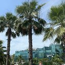 ���� U.a.u., ����� - ��������� 6 ������� 2022