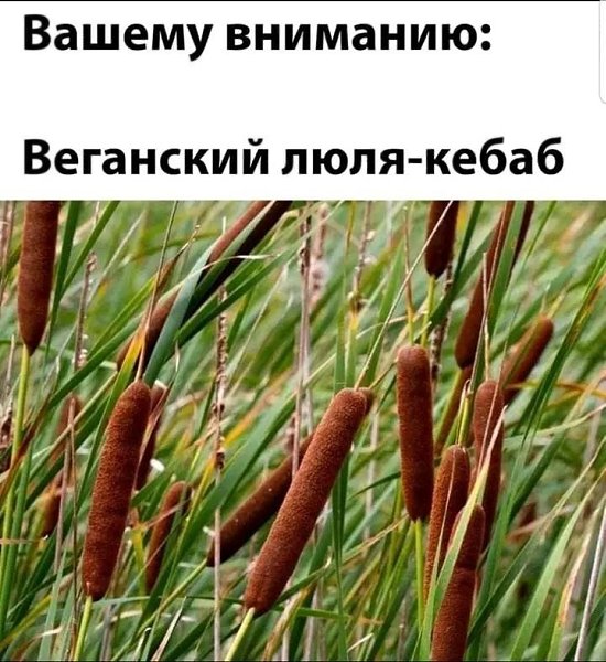   - 11  2022  07:55