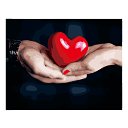 ���� ������, �����������, 48 ��� - ��������� 29 �������� 2022 � ������ ������ ��������